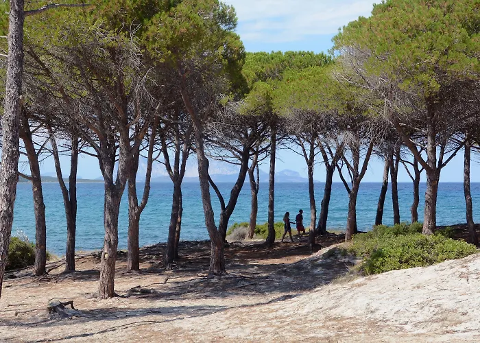 아파트호텔 Bouganvillage 부도니