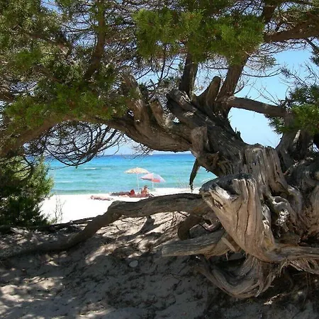Aparthotel Bouganvillage 3*